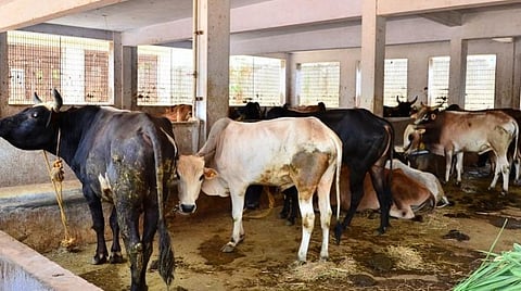 துலாம், விருச்சிகம், தனுசு; வார ராசிபலன்கள் - ஏப்ரல் 9 முதல் 15ம் தேதி வரை - 