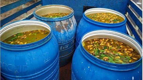 பூவரசம்பூ, இலை கலந்த நீர்: ஆண்டுதோறும் இயற்கை கிருமி நாசினியை தெளித்து திருவிழா கொண்டாடும் சிவகங்கை கிராம மக்கள்