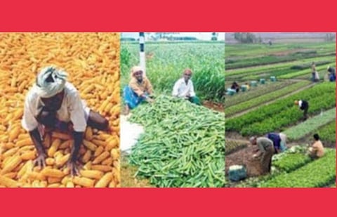 ஊரடங்கால் விவசாயிகள் பாதிப்பு; விளைபொருட்களை அரசே கொள்முதல் செய்யவேண்டும்: உயர் நீதிமன்றம் அறிவுறுத்தல்