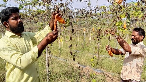 பி.டெக். பட்டதாரி தினேஷ்