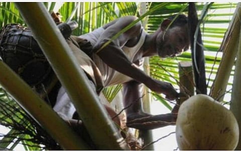 பிரதிநிதித்துவப் படம்