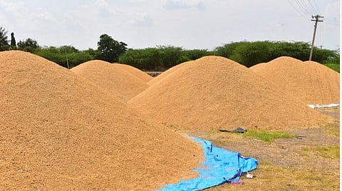 கரோனா பாதிப்பால் கொள்முதல் நிறுத்தம்: மதுரையில் மலைபோல் குவிந்துள்ள நெல்