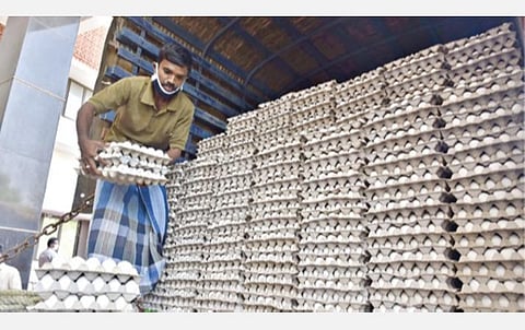 கரோனா வைரஸ் தடுப்பு பணிகளில் ஈடுபட்டு வரும் சுகாதாரத் துறை பணியாளர்கள், தூய்மை பணியாளர் உள்ளிட்டோருக்கு தமிழ்நாடு கோழிப் பண்ணையாளர்கள் சங்கம் சார்பில் தலா 30 முட்டைகள் வீதம் 3 லட்சம் முட்டைகள் இலவசமாக வழங்கப்பட உள்ளன. இதற்காக சேலம் ஆட்சியர் அலுவலகத்தில் இருந்து மாவட்டப் பகுதிகளுக்கு முட்டைகளை அனுப்பி வைக்கும் பணியில் ஈடுபட்ட பணியாளர்கள்.               படம்: எஸ்.குரு பிரசாத்