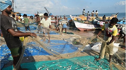 செவ்வாய்கிழமை இரவு கடலுக்குச் சென்று புதன்கிழமை  கரை திரும்பிய பாம்பன் நாட்டுப்படகு மீனவர்கள் வலைகளிலிருந்து மீன்களை சேகரிக்கின்றனர்.  