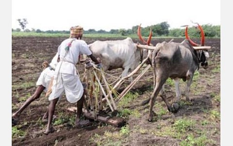 தமிழகம் முழுவதும் மாவட்ட வாரியாக விவசாயிகளுக்கு உதவ வேளாண் விஞ்ஞானிகள் நியமனம்- தொலைபேசி எண்கள் அறிவிப்பு
