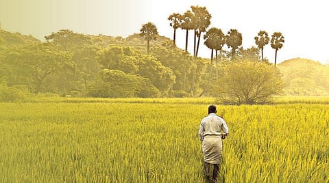 ஊரடங்கு பாதிப்பிலிருந்து விவசாயிகளைக் காக்க என்னென்ன செய்ய வேண்டும்?