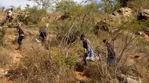 தேனியில் கள்ளச்சாராயம் அதிகரிப்பினால் கருப்பட்டி, வெல்லம் விற்பனைக்கு கட்டுப்பாடு