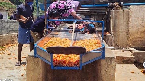 கேரட் கழுவும் இயந்திரம்