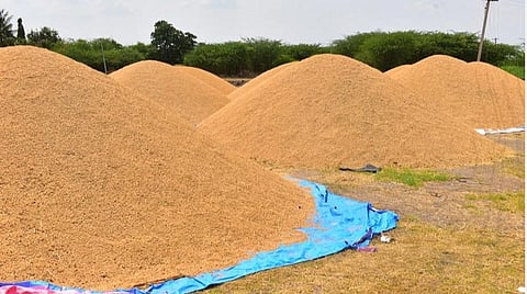 ஊரடங்கு காலத்தில் கூடுதலாக இரண்டு அரசு நெல் கொள்முதல் மையங்கள் அமைப்பு: மாவட்ட வேளாண் இணை இயக்குநர் தகவல்