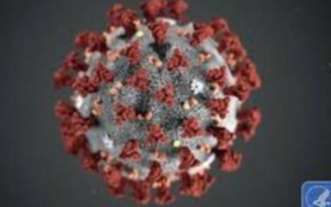 பிரதிநிதித்துவப் படம்