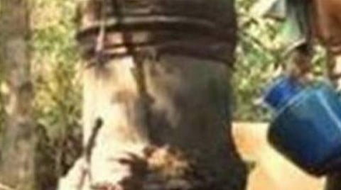 தூத்துக்குடியில் கள்ளச்சாராயம் விற்ற 4 பேர் கைது