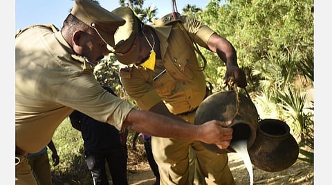 படங்கள் எம்.சாம்ராஜ்