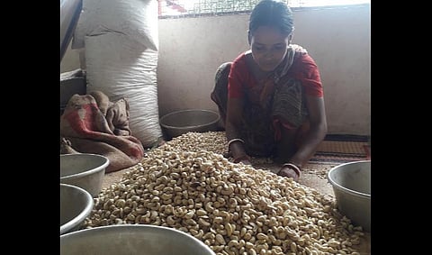 ஏற்றுமதி செய்ய முடியாத நிலையில் தேங்கிக் கிடக்கும் முந்திரி.