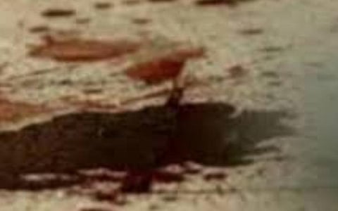 பிரதிநிதித்துவப் படம்