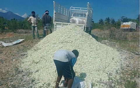 சாலையில் கொட்டப்படும் மலர்கள்