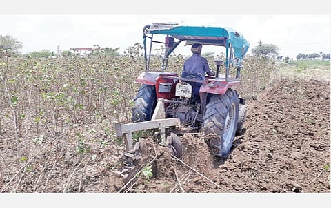 விளாத்திகுளம் அருகே கடலையூர் பகுதியில் உள்ள மானாவாரி நிலத்தில் டிராக்டர் மூலம் பருத்தி செடிகள் அழிக்கப்பட்டன.
