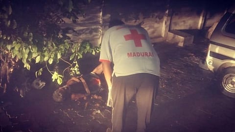 சளி, இருமலுடன் சாலையில் கிடந்த முதியவர்; பிணவறை அருகே வீசிய மக்கள்: மீட்டு மருத்துவமனையில் சேர்த்த செஞ்சிலுவை சங்கத்தினருக்கு மதுரை ஆட்சியர் பாராட்டு