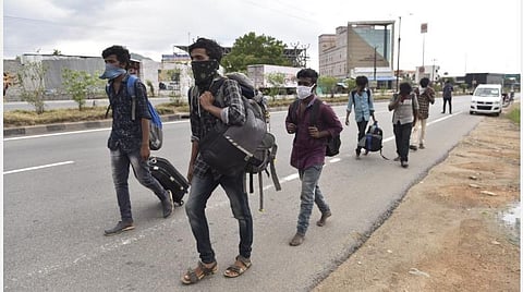 படம்: எஸ்.குருபிரசாத்.