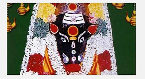 எதிர்ப்பு விலகும்; கடனெல்லாம் தீரும் - பஞ்சமியில் வாராஹி வழிபாடு