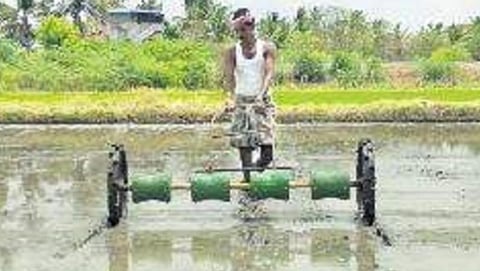 விதைப்புக் கருவி மூலம் நேரடி நெல் சாகுபடி: ஒரே நாளில் 2 ஆட்களைக் கொண்டு 2.5 ஏக்கர் வரை விதைக்கலாம்- வேளாண் விஞ்ஞானிகள் யோசனை