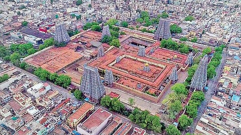 படம்: எஸ்.கிருஷ்ணமூர்த்தி