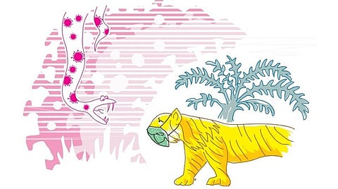 பொருளாதார நெருக்கடி மீள என்ன செய்யலாம்?