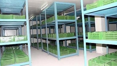 ஒழுங்குமுறை விற்பனைக்கூடங்களில் சேமித்த விளைபொருட்களுக்கு மேலும் ஒரு மாதம் வாடகை ரத்து: தென்காசி ஆட்சியர்