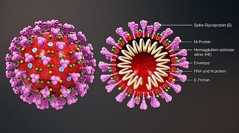 கொஞ்சம் அறிவியல் 2- கரோனா குடும்பம்: ஏன்? எதற்கு? எப்படி?