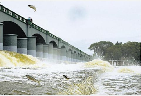 காவிரி உரிமையை  மீட்க நாளை கருப்புக்கொடி ஏந்துவோம்: தமிழ்த் தேசியப் பேரியக்கம் வேண்டுகோள்