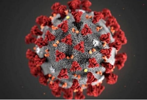 ஐக்கிய அமீரகத்தில் கரோனா தொற்று 20,386 ஆக அதிகரிப்பு