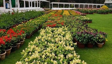 உதகை தாவரவியல் பூங்கா.