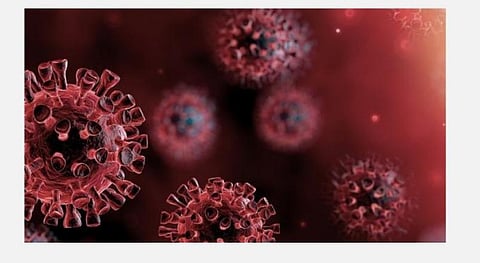 நெல்லை மாவட்டத்தில் ஒரே நாளில் 23 பேருக்கு கரோனா தொற்று உறுதி; பாதிப்பு எண்ணிக்கை 137 ஆக உயர்வு