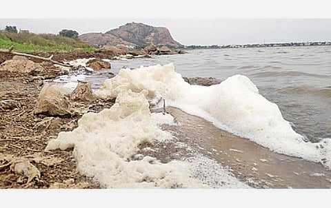 நுரை பொங்கி காணப்படும் திருப்பரங்குன்றம் தென்கால் கண்மாய்.