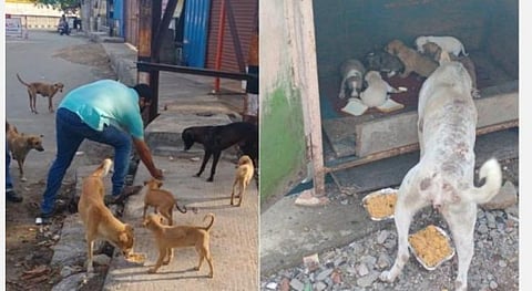 புனர்பூசம், பூசம், ஆயில்யம் ; வார நட்சத்திர பலன்கள் - (மே 18 முதல் 24 வரை) 