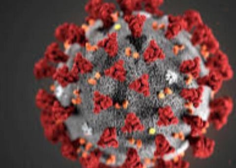 பிரதிநிதித்துவப் படம்