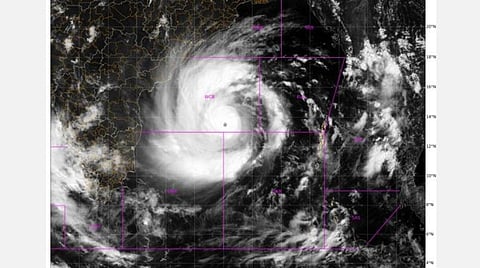 படம் உதவி ட்விட்டர்