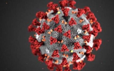 மும்பையில் இருந்து கோவில்பட்டிக்கு வந்த 3 மாத குழந்தை உட்பட 13 பேருக்கு கரோனா