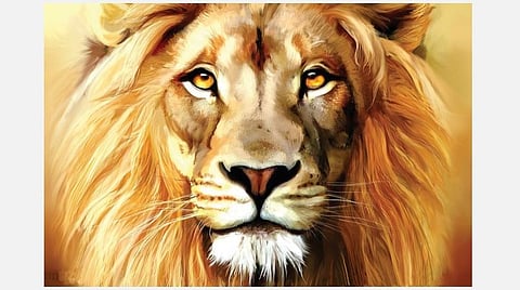 ஜென் துளிகள்: வேலியின் இயல்பு என்ன?