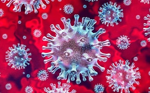 தூத்துக்குடியில் கத்தோலிக்க பாதிரியாருக்கு கரோனா தொற்று: மாவட்டத்தில் பாதிப்பு எண்ணிக்கை 135 ஆக அதிகரிப்பு