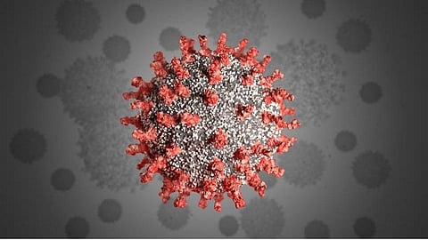 நெல்லைக்கு வெளிமாநிலங்களில் இருந்து வந்த 3200 பேருக்கு கரோனா பரிசோதனை