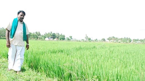 ஆந்திரா திட்டத்தைப் போல் தமிழகத்திலும் விவசாயிகளுக்கு நேரடியாக நிதி வழங்குக: அரசுக்கு ஆறுபாதி ப.கல்யாணம் கோரிக்கை