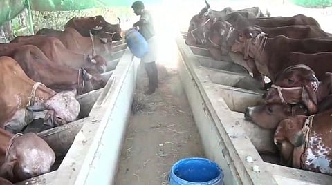 பிரதிநிதித்துவப் படம்