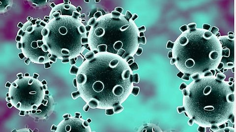 பரிசோதனை முடிவு வருவதற்குள் சென்னையில் இருந்து காளையார்கோவில் வந்த தீயணைப்பு ஊழியருக்கு கரோனா