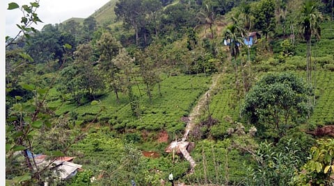 பெண் தனிமைப்படுத்திக் கொண்ட வீடு.