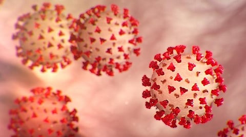 ராமநாதபுரம் மாவட்டத்தில் 2 கர்ப்பிணிகளுக்கு கரோனா 