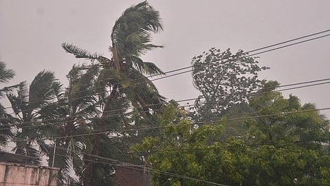 படம்: மு.லெட்சுமி அருண்