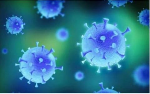 கரோனா வைரஸ்; நுண்ணுயிரியல் விஞ்ஞானிகள் புதிய ஆராய்ச்சி