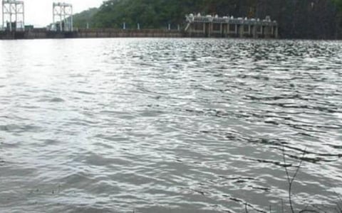 நெல்லை, தென்காசி மாவட்டங்களில் மிதமான மழை