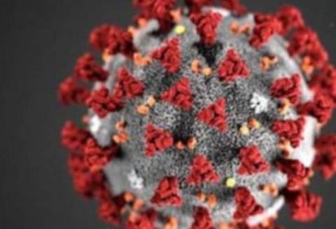 கரோனாவுக்குப் புதிய சிகிச்சை: சவுதியுடன் கைகோத்த ரஷ்யா