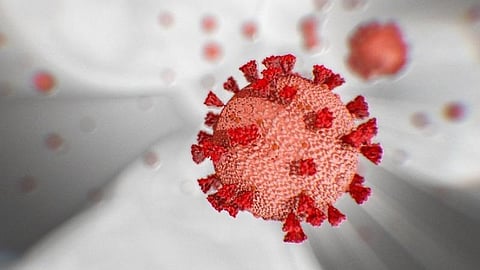 தூத்துக்குடி மாவட்டத்தில் ஒரே நாளில் 51 பேருக்கு கரோனா தொற்று: மொத்த பாதிப்பு 277 ஆக உயர்வு